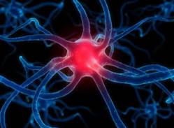 image depiction of a nerve